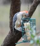 DSC_0040.JPG