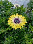 honor 6x camera sample IMG_20170125_153709.jpg honor 6x camera sample IMG_20170125_153709.jpg