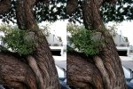 ZTE Blade V8 Pro before after HDR 3.jpg