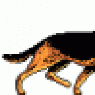 Todflog1