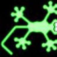 MrGecko
