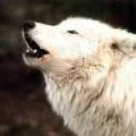 WhiteWolf