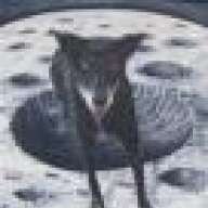 Moondoggy