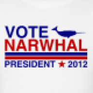 Sir Narwhal