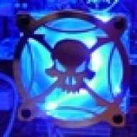 leaddawg