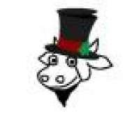 Bearded Cow
