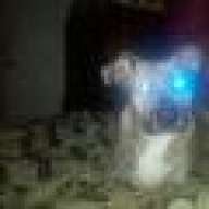 AdamZ