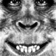 BigfootYeti