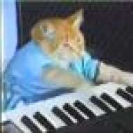 Tom