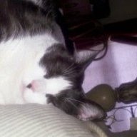 ellieT