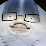 DanWantsToBeSwedish