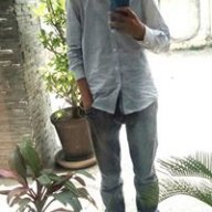 Kh Tabish Majeed