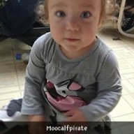 MooCowPirate