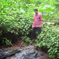 naseeb6633