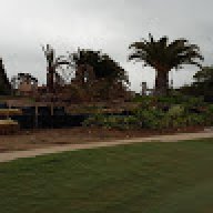 rutgersturf11