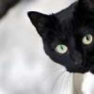 danglingconversation