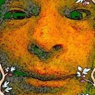 papilonaa