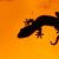 thegekko