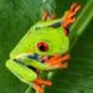 FrogmanDave