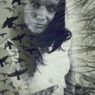 nicole dunn