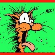 Cattus