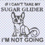 GliderGuy
