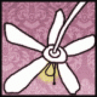 Ceiling Fan