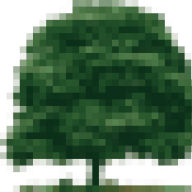 WoodlawnTom