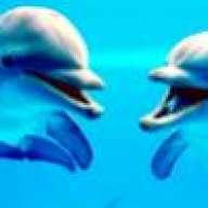 lavendarblue