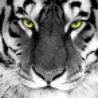 Tony.The.Tiger