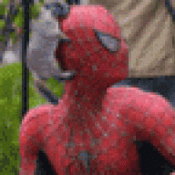 PCNutt3r
