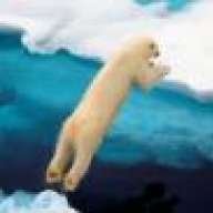 flyinpolarbear