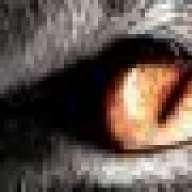 AweSomeFacE4