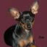myminpins