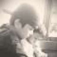 newbiehere