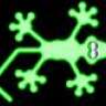 MrGecko