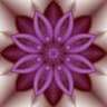 pinkivy98