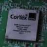 cortex_inside