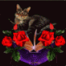isis67