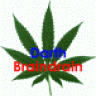 braindrain42