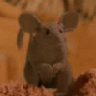 Muad'Dib
