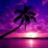 Jaan_Black