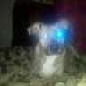 AdamZ