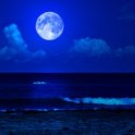 Blue Moon