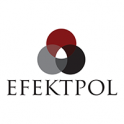 Efektpol