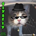fly8fly