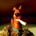 XScoobySnax420X