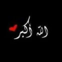 Amer1995
