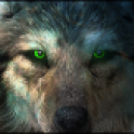 Blood_Wolf89