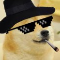 BlazingDoge